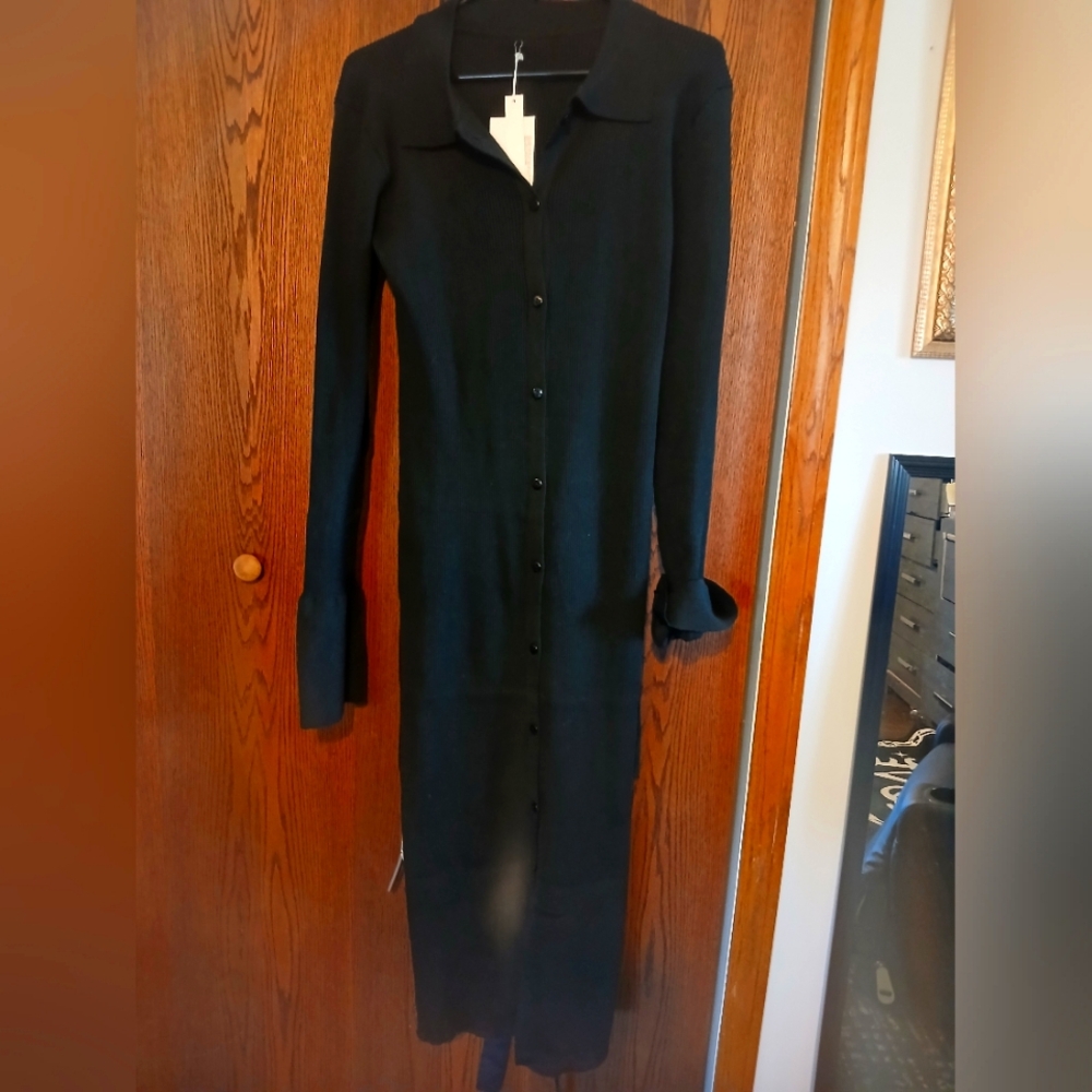 Mi Amor Fitted black long sleeve button down dress.